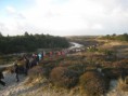 /album/diverse-billeder-fra-vore-ture/landstrygerne-heden-jpg2/